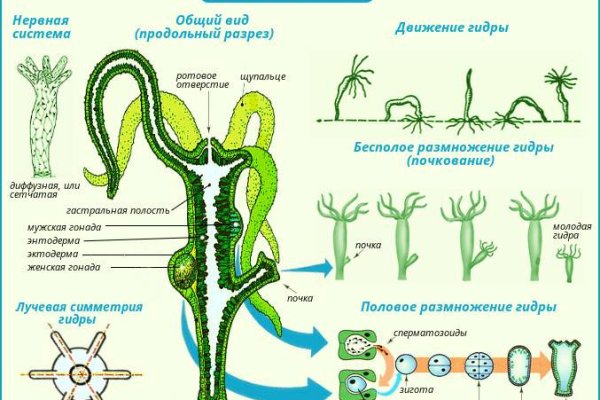Kraken сайт kraken clear com